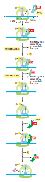 Figure 6-65.png